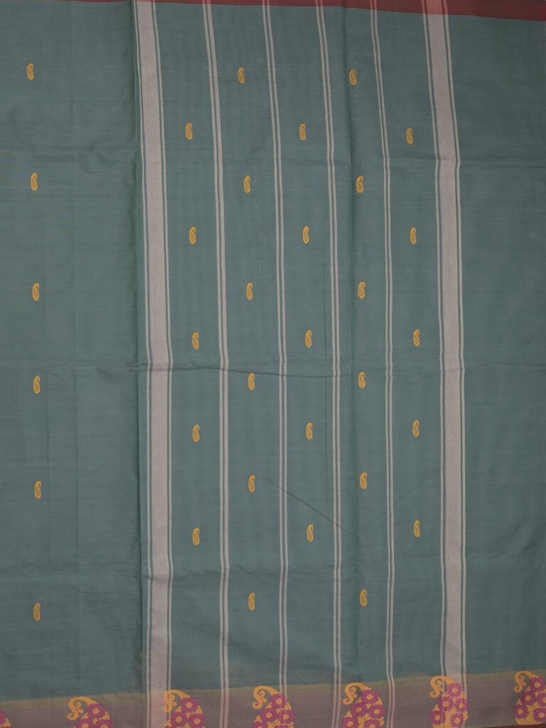 Kanchi cotton saree allover motifs and weaving border with attached self blouse