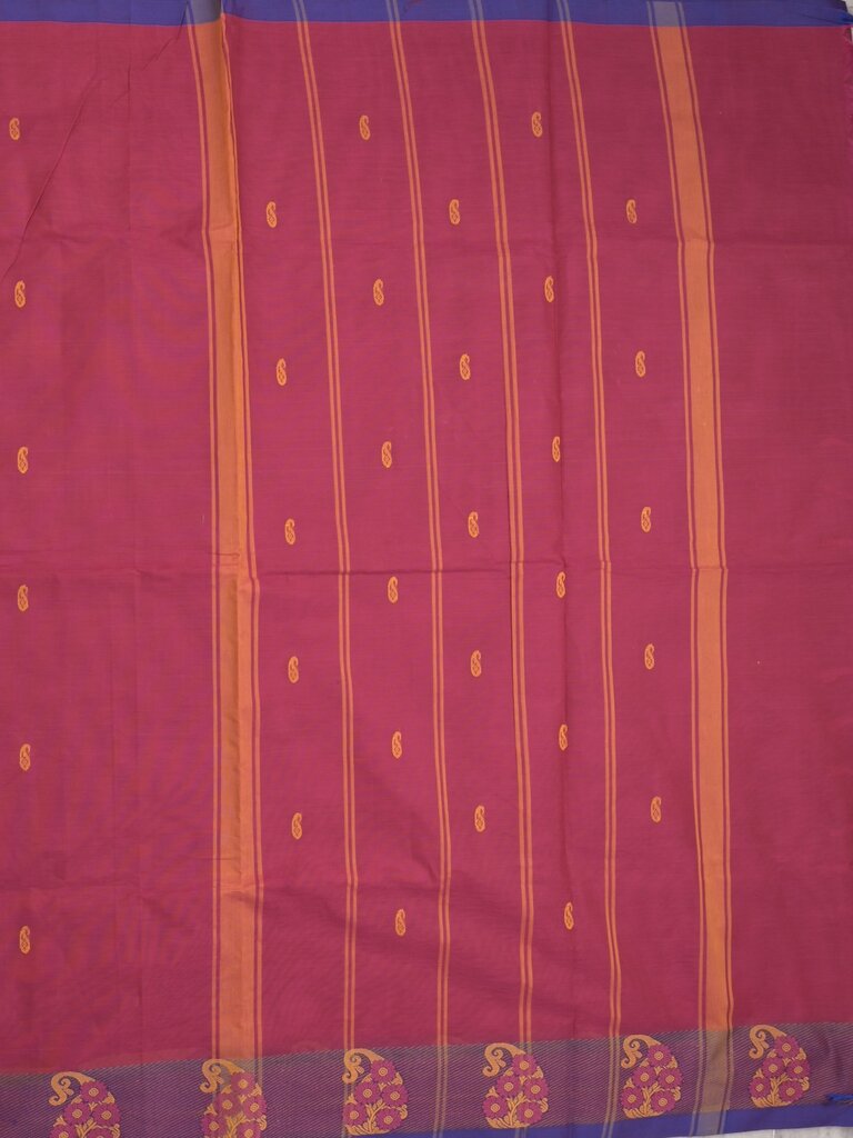 Kanchi cotton saree allover motifs and weaving border with attached self blouse
