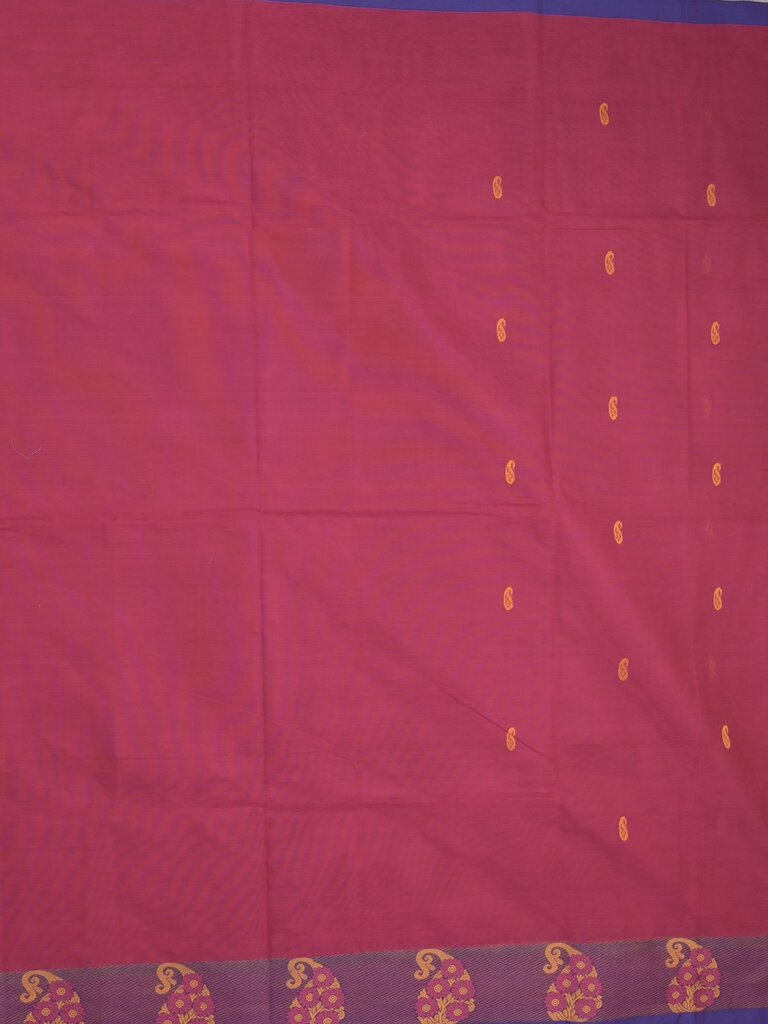 Kanchi cotton saree allover motifs and weaving border with attached self blouse
