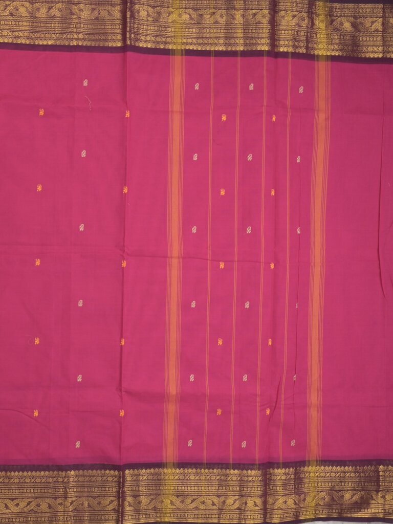 Kanchi cotton saree allover plain with kanchi border and attached self blouse