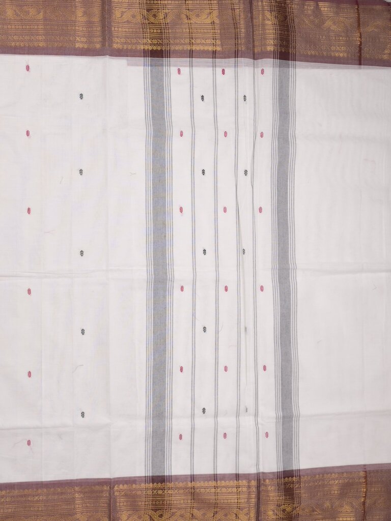 Kanchi cotton saree allover plain with kanchi border and attached self blouse