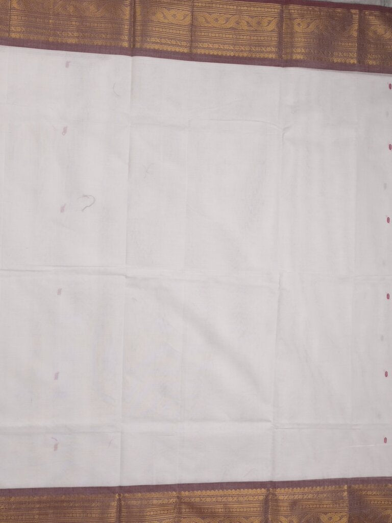 Kanchi cotton saree allover plain with kanchi border and attached self blouse