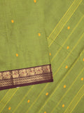 Kanchi cotton saree allover motifs with contrast border and attached self blouse