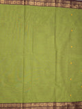 Kanchi cotton saree allover motifs with contrast border and attached self blouse