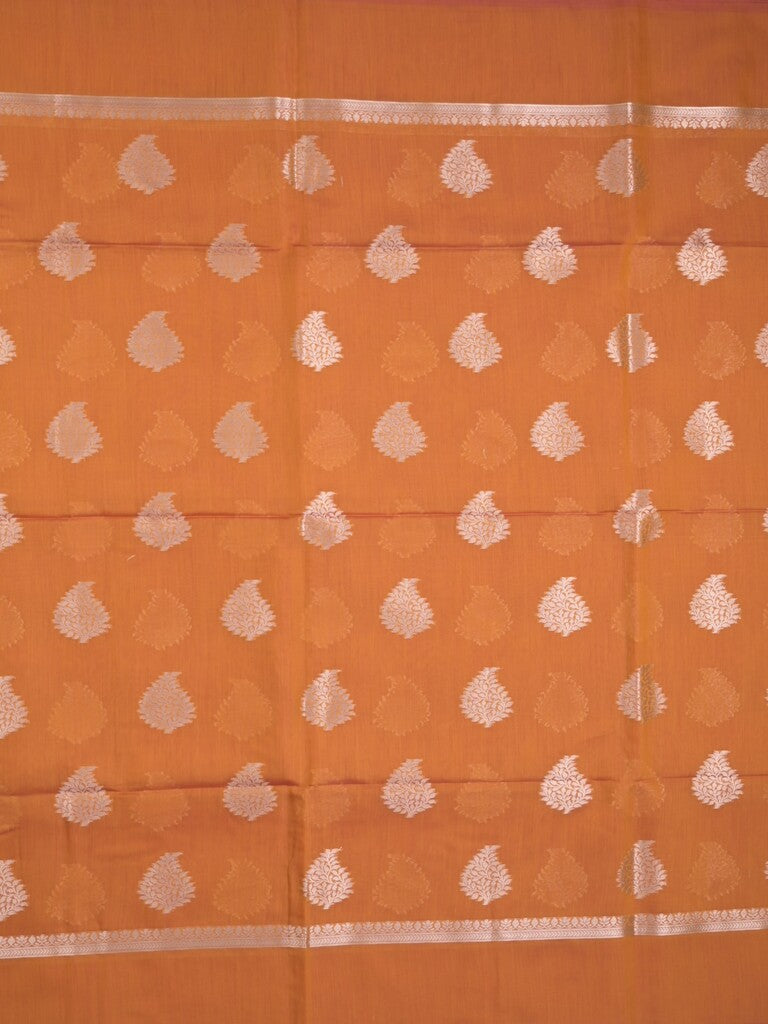 Chanderi fancy saree bronze color allover zari motifs and zari border with brocade pallu and blouse