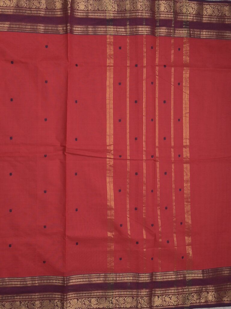 Kanchi cotton saree allover motifs with contrast border and attached self blouse
