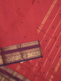 Kanchi cotton saree allover motifs with contrast border and attached self blouse