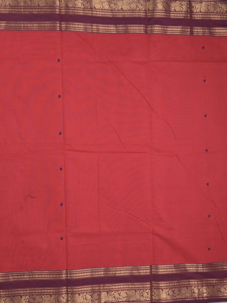 Kanchi cotton saree allover motifs with contrast border and attached self blouse