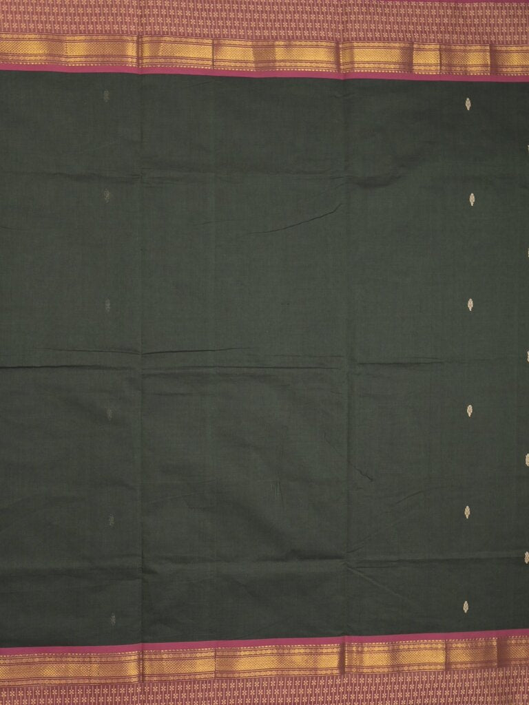 Kanchi cotton saree allover motifs with contrast border and attached self blouse