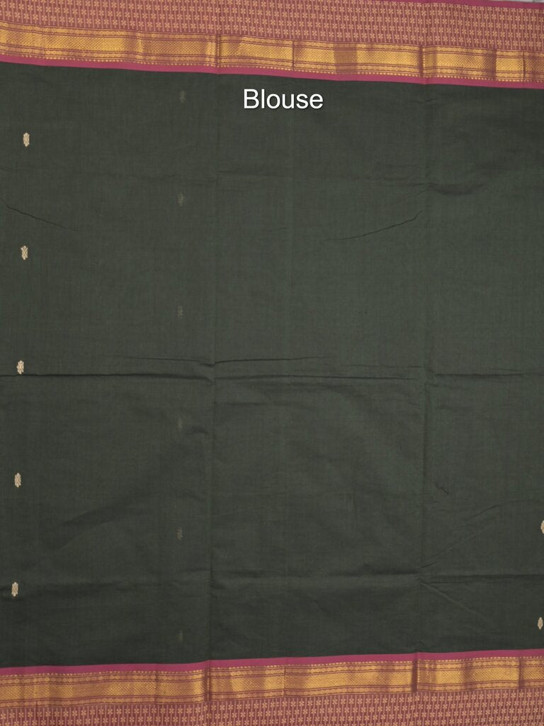 Kanchi cotton saree allover motifs with contrast border and attached self blouse