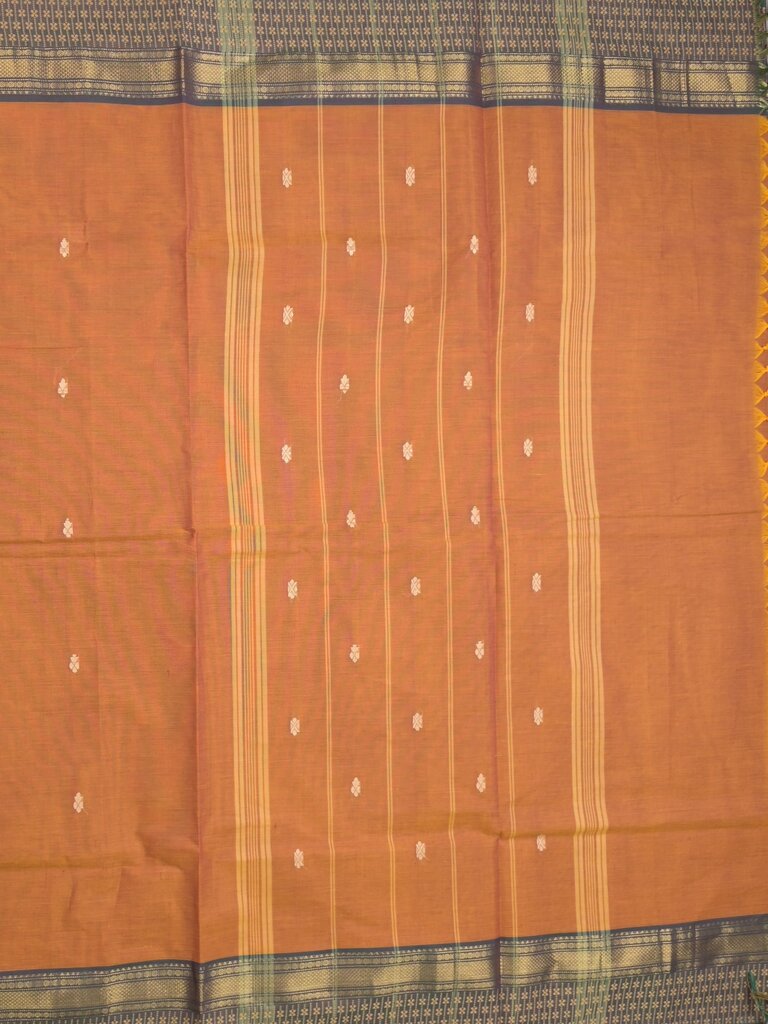 Kanchi cotton saree allover motifs with contrast border and attached self blouse