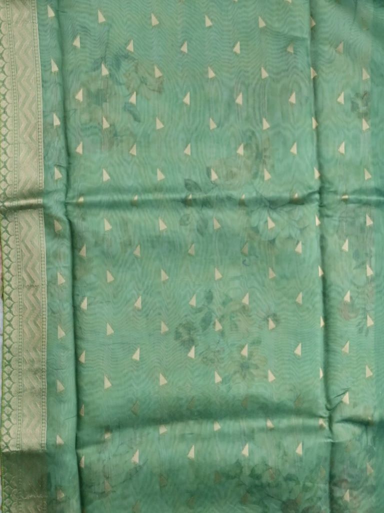 Chanderi fancy saree light green color allover digital prints, zari weaves & zari border with rich pallu and contrast blouse