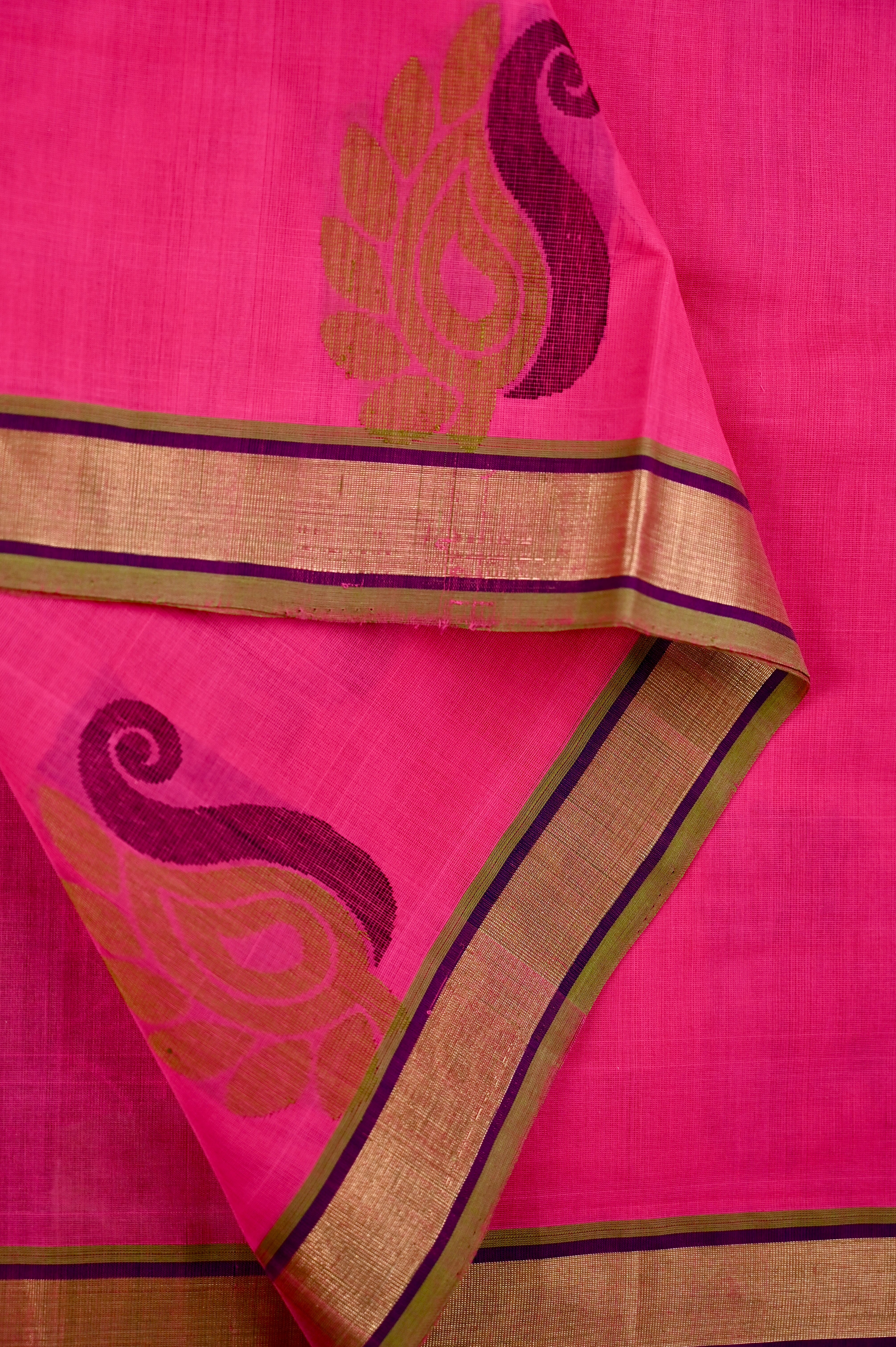 Kanchi cotton saree pink color with thread motive weaves, small zari border, contrast pallu and plain blouse.