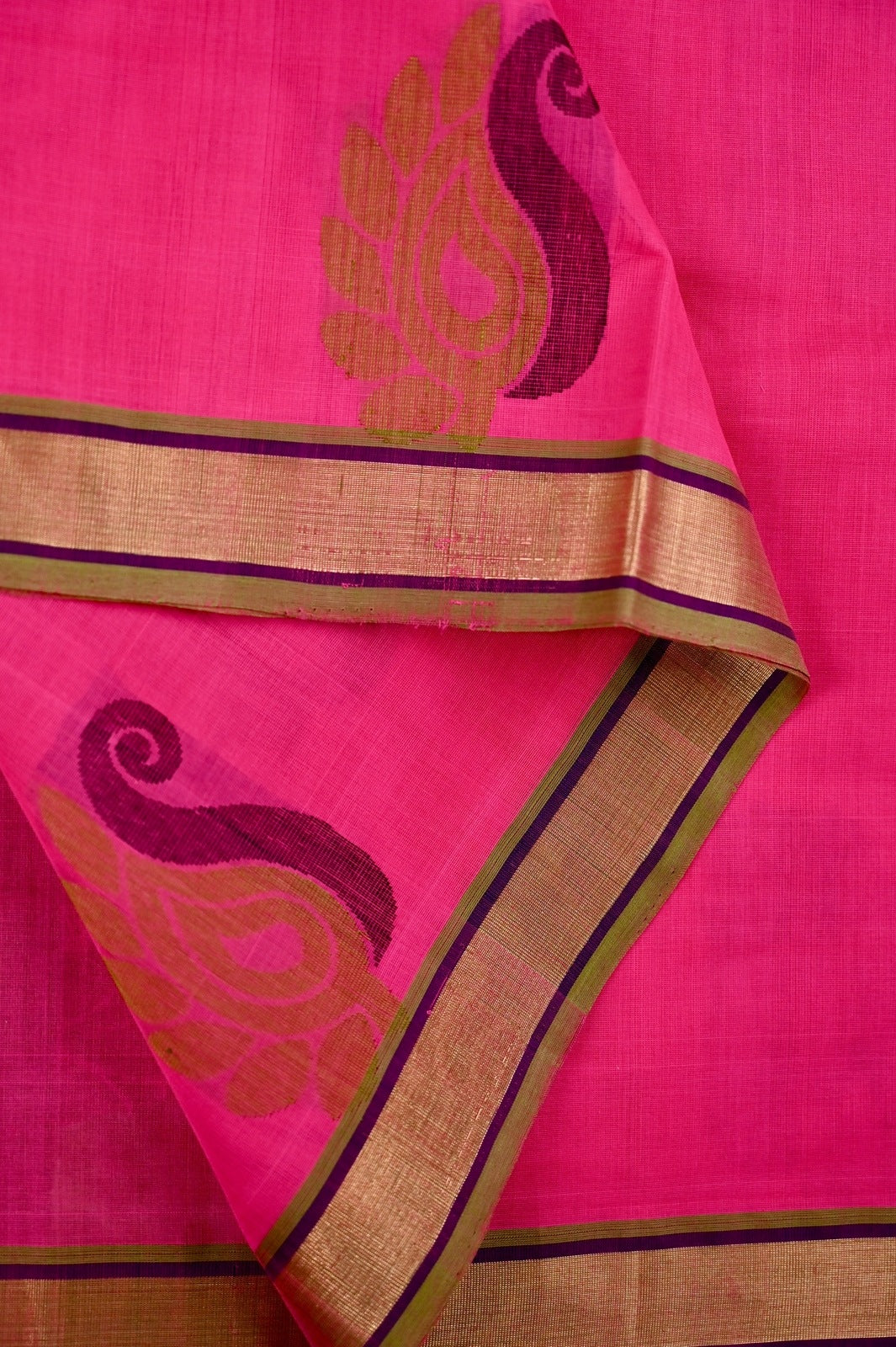 Kanchi cotton saree pink color with thread motive weaves, small zari border, contrast pallu and plain blouse.