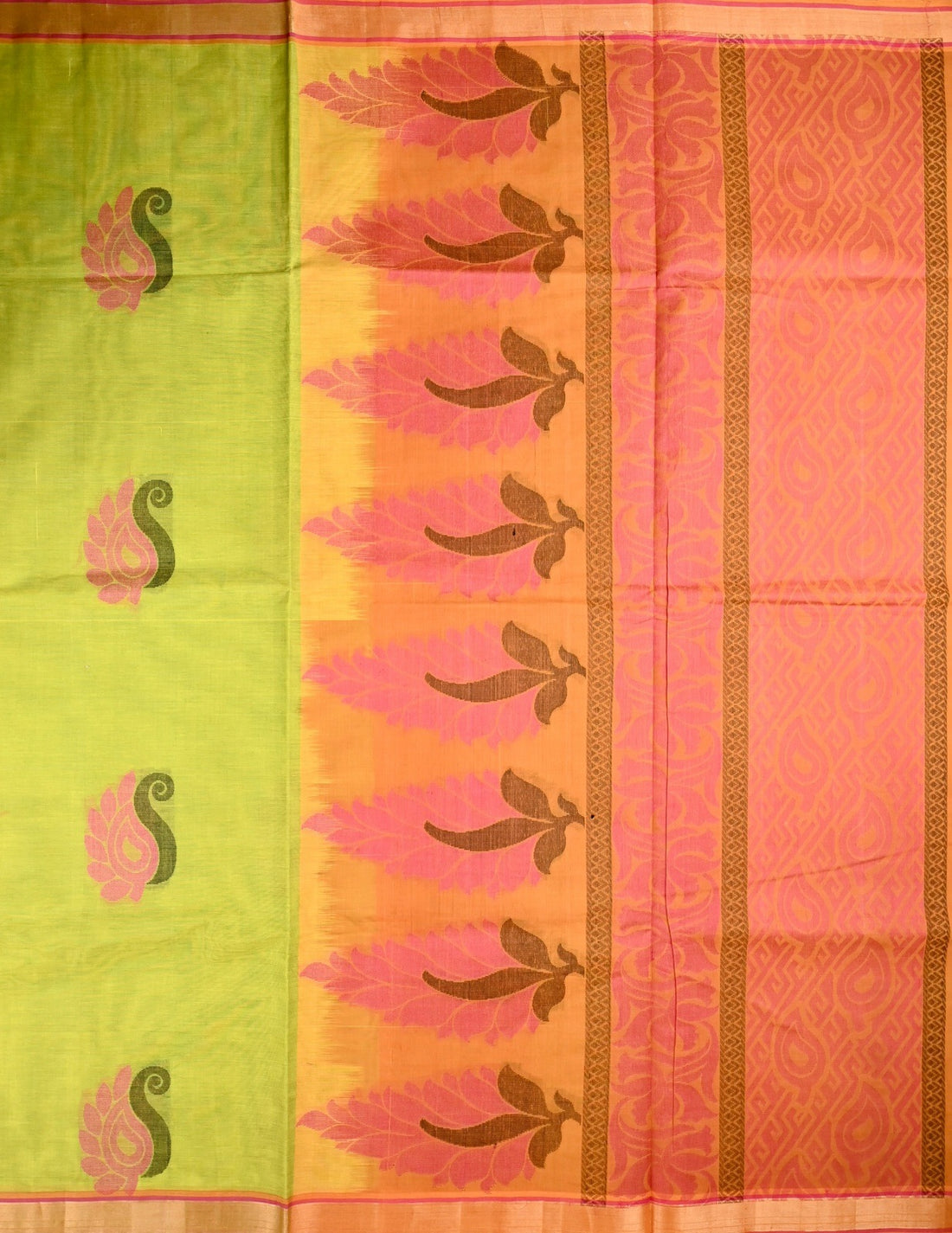 Kanchi cotton saree parrot green color with thread motive weaves, small zari border, contrast pallu and plain blouse.