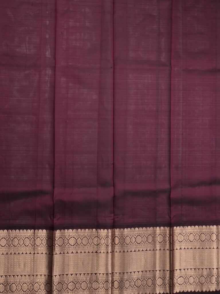 Pethambari pattu saree light blue color allover zari motifs & kanchi border with rich pallu and attached plain blouse