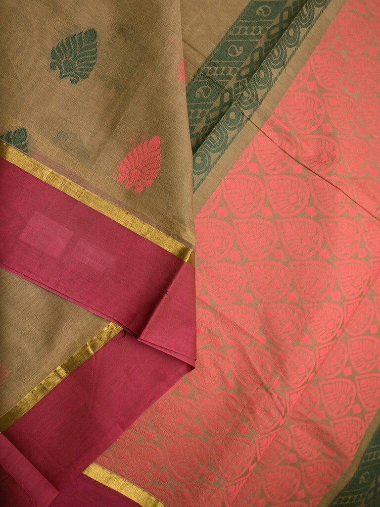 Kanchi cotton saree dark beige color allover motifs & small border with rich pallu and attached plain blouse