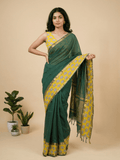 Kalamkari cotton saree with kalamkari border and kalamkari blouse