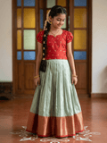 Banaras Tissue Lehenga set with Intricate Zari Detailing 8-9 years