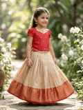 Banaras Tissue Lehenga set with Intricate Zari Detailing 4-5 years
