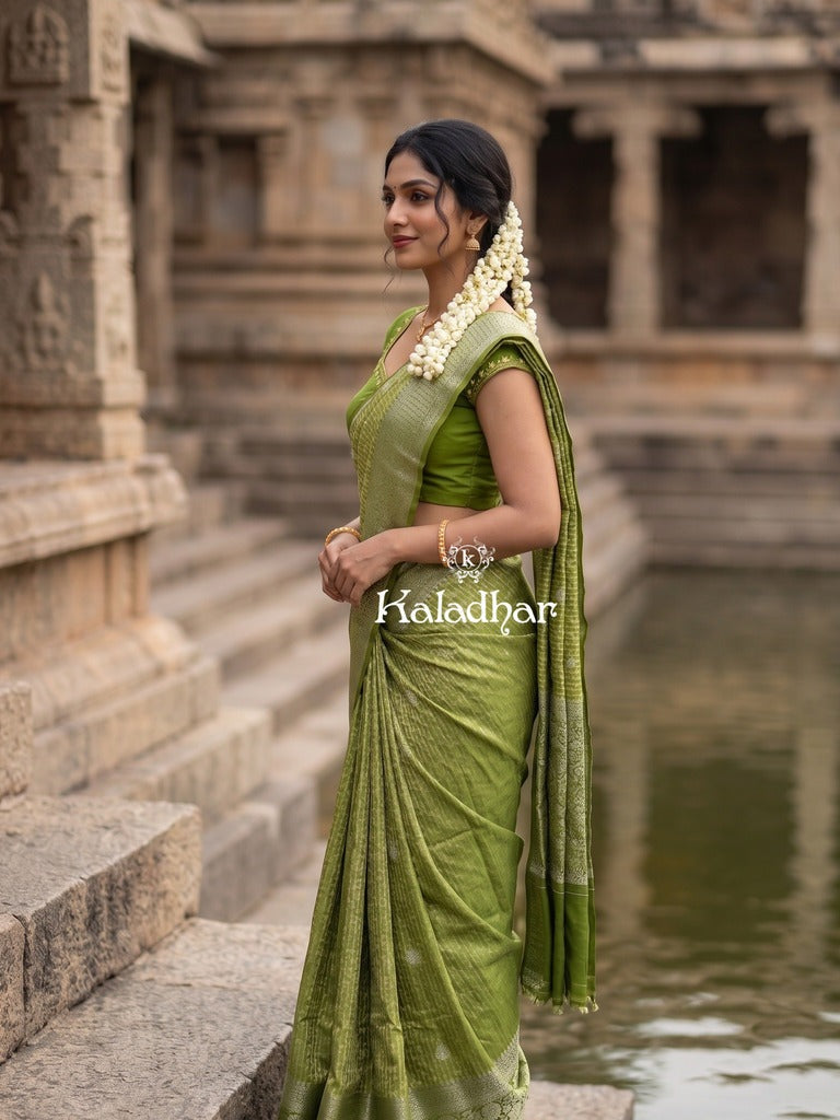 Munga fancy sarees for women | parrot green | zari border | party wear