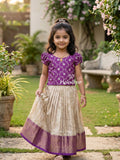 Banaras Tissue Lehenga set with Intricate Zari Detailing 4-5 years