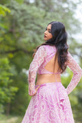 Pastel Lavender Net Lehenga