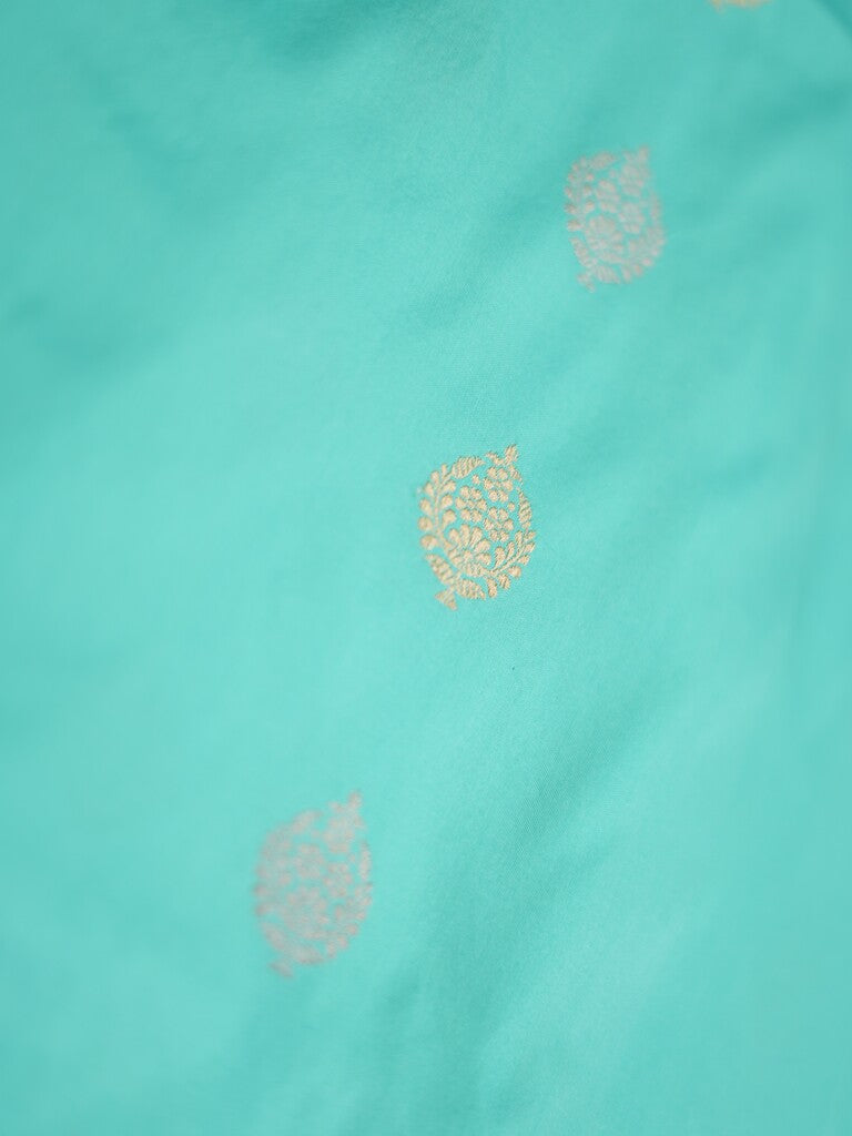 Banaras pattu saree sky blue color allover zari motifs & zari border with rich pallu and contrast plain blouse