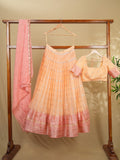 Classy light peach chanderi lehenga set with self-blouse and elegant border |Ready to wear