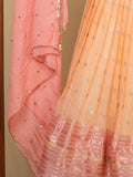 Classy light peach chanderi lehenga set with self-blouse and elegant border |Ready to wear