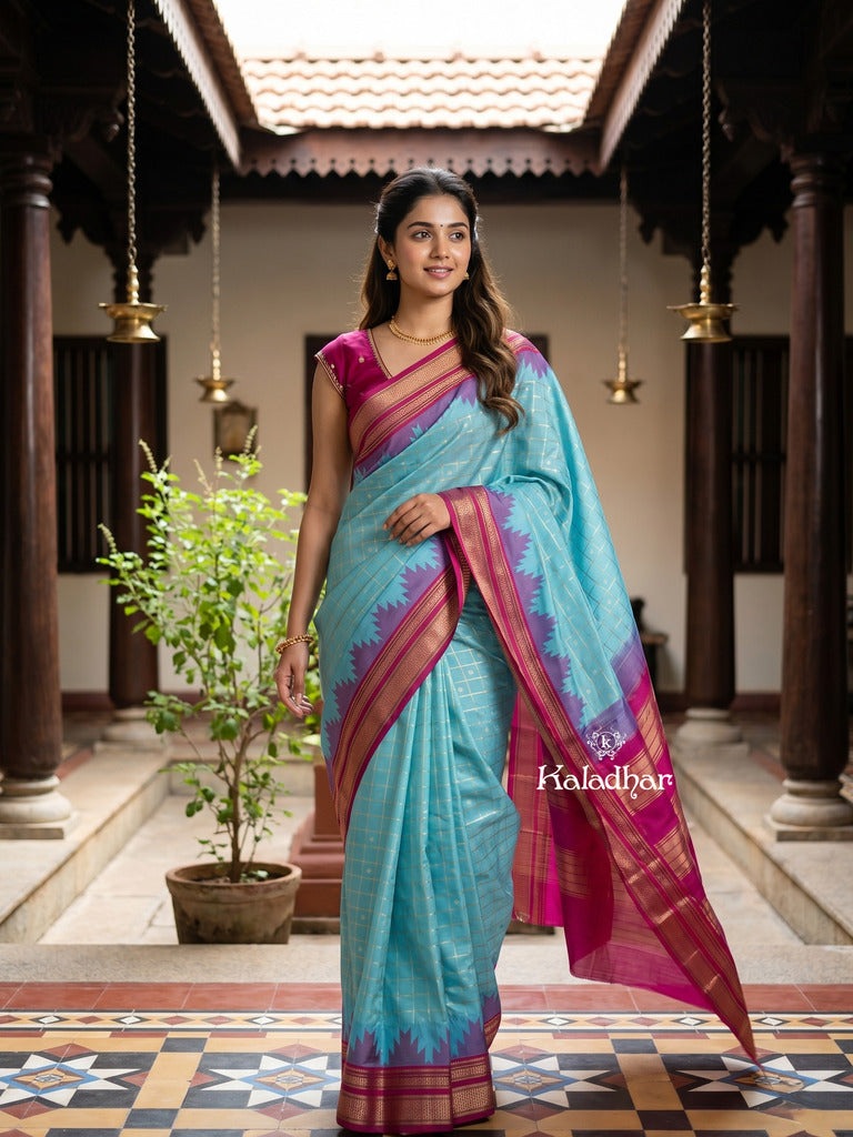 Narayanpet pattu saree allover zari checks and zari border with contrast pallu and blouse