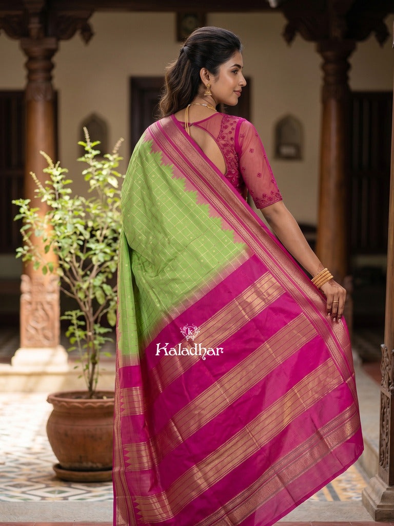 Narayanpet pattu saree allover zari checks and zari border with contrast pallu and blouse