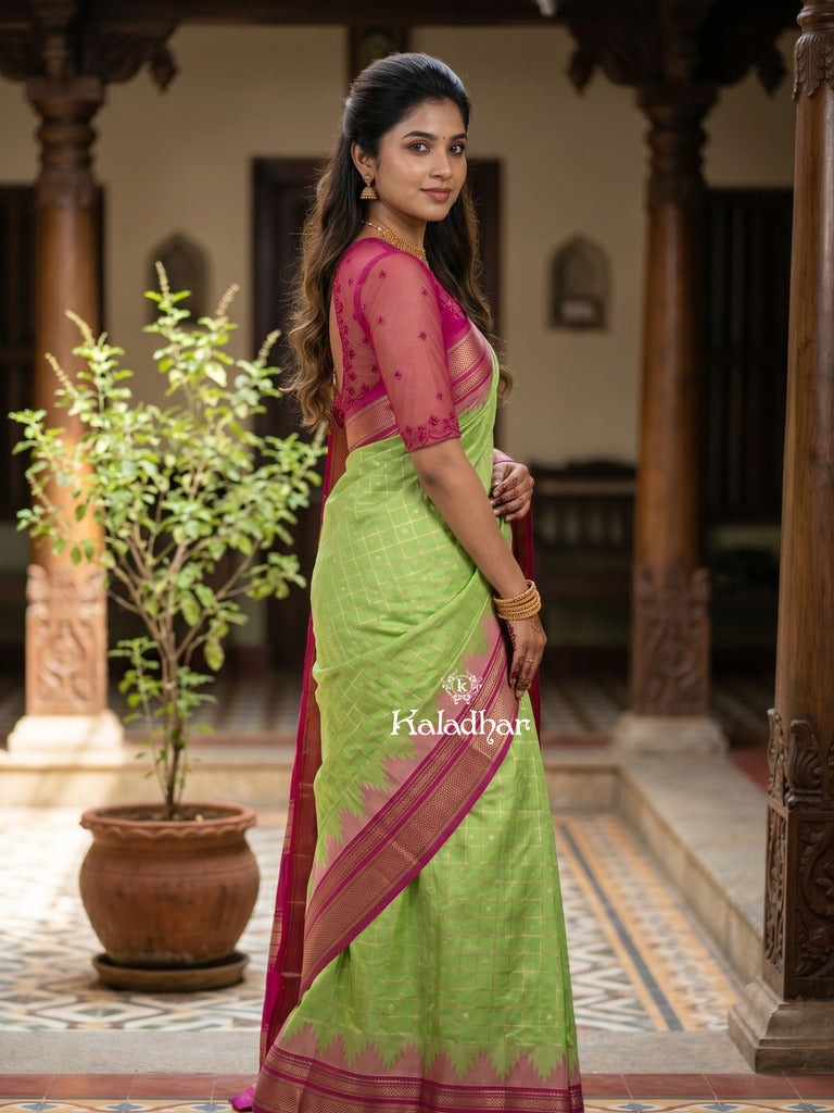 Narayanpet pattu saree allover zari checks and zari border with contrast pallu and blouse