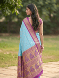 Narayanpet pattu saree allover zari motifs with paithani pallu and contrast blouse
