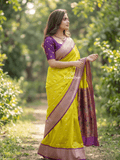Narayanpet pattu saree allover zari motifs with paithani pallu and contrast blouse