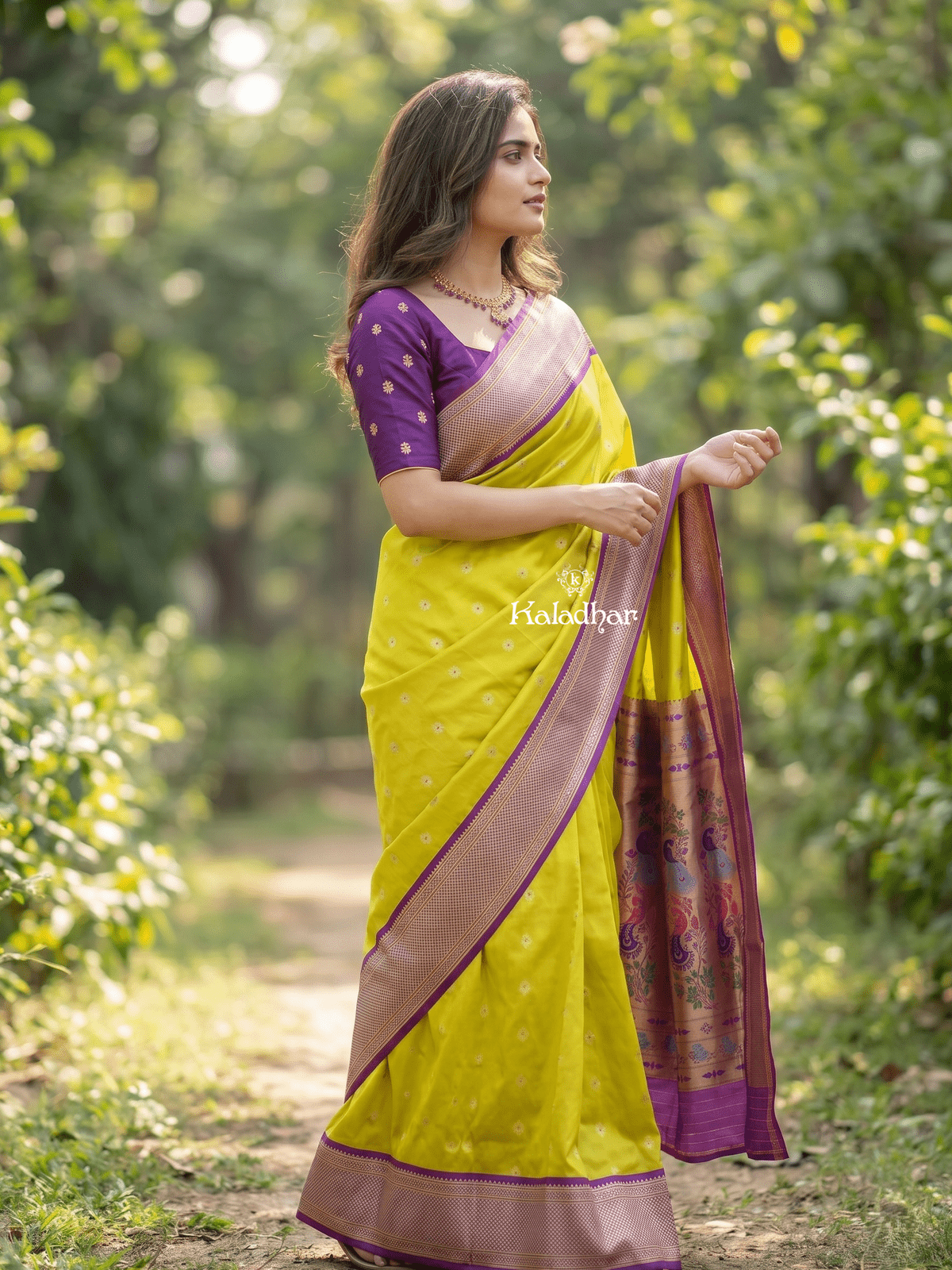 Narayanpet pattu saree allover zari motifs with paithani pallu and contrast blouse